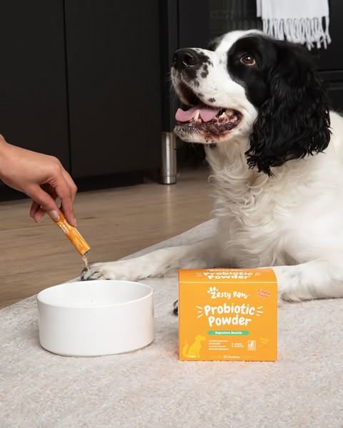 A clean, high-contrast shot of a human adding Probiotic Powder to a dog's food bowl, emphasizing product ease of use and pet health benefits.